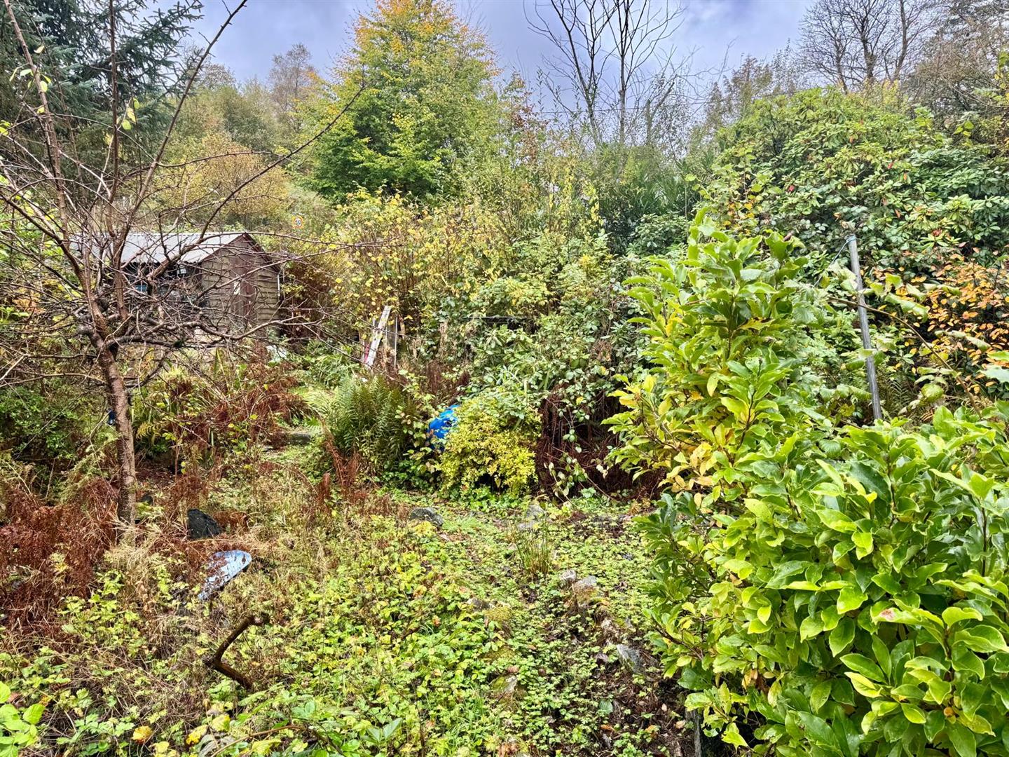 PHOTO-2025-11-05-08-15-48 (6).jpg